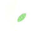 Alien Kalligramm – Halber Grey Kopf