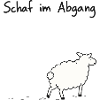 Schaf im Abgang