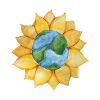 Erd-Sonnenblumenblüte