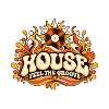 House Feel the Groove