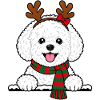 Weihnachten Bichon Frisé