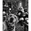 Labrador Selfie Weihnachtsmann Weihnachtsoutfit