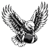 Adler mit American Football