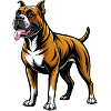 Boxer Dog Stand