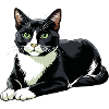 Tuxedo-Katzen-Legen