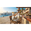 Pelican genießt einen frischen Fischcocktail
