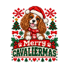 Cavalier King Charles Spaniel - Weihnachten