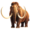 Mammut