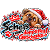 Santa Hund gegen Doppelgeschenke