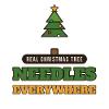 Echter Weihnachtsbaum: Überall Nadeln
