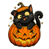 Kater Halloween Kürbiszauber