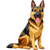 Deutscher Schäferhund sitzt