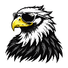 Weißkopfseeadler mit Sonnenbrille