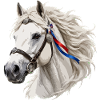 Camargue-Pferd