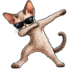 Dabbing Devon Rex – Lustiger Katzentanz
