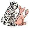 Dalmatiner und Sphynx-Katze beim Tätowieren