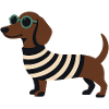 Dackel mit Sonnenbrille