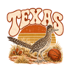 Texas Retro Sunset Bird Basketball