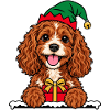 Weihnachten Cavapoo