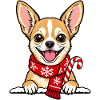Weihnachten Chihuahua