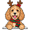 Weihnachten Cockapoo