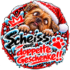 Weihnachtshund gegen doppelte Geschenke