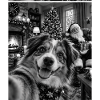 Australian Shepherd Hund Selfie Weihnachtsmann