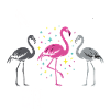 Tanz Aus Der Reihe Flamingos