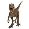 Velociraptor
