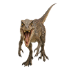 Velociraptor