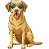 Labrador Retriever mit Sonnenbrille