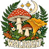 Waldzeit – Pilze und Mond