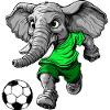 Fussballer Elefant