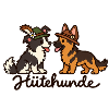 Hütehunde – Border Collie & Schäferhund