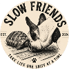 Slow Friends – Hund und Schildkröte