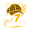 My 7 Birthday Leopard Cap Party