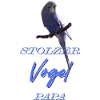 Stolzer Vogel Papa - lustige Geschenkidee 