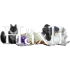 Häxli