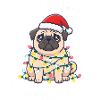 Weihnachts Dog mit Lichterkette