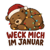 Schlafender Bär mit Lichterkette Januar