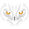 Dark Owl Face
