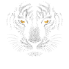 Dark Tiger Face