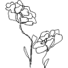 Strek-Rose: Minimalistische Blumenlinie