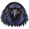 Blauer und Schwarzer Krähenkopf