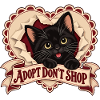 Adopt Don’t Shop Black Cat