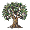 Poly Olivenbaum