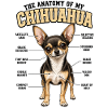 Chihuahua Hundebesitzer T Chihuahua Gassi 