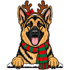 Weihnachten Deutscher Schäferhund