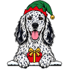 Weihnachten English Setter