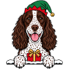 Weihnachten English Springer Spaniel